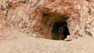 Horny cave nigh El Jordi Nino Pola