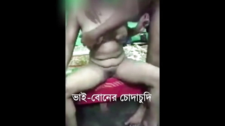 Bangladeshi TikTok Dignitary Sex Video