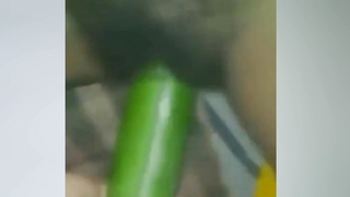 Bangladeshi downcast girl cucumber hard masturbate.